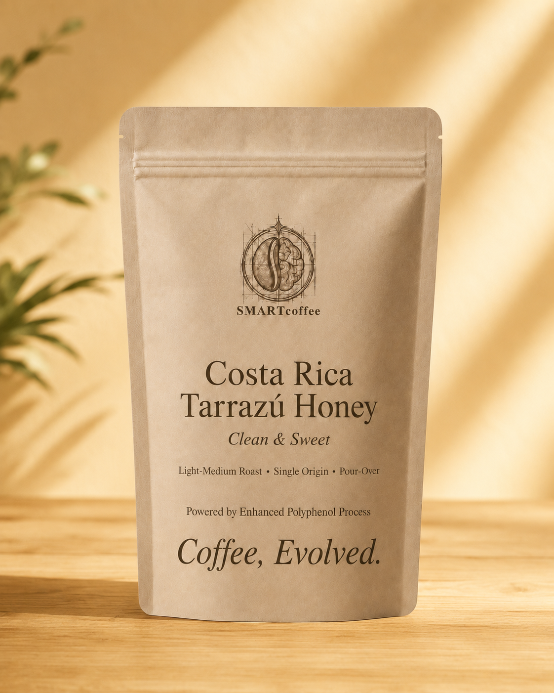 Costa Rica Tarrazú Honey — Clean & Sweet